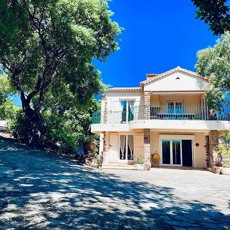 In - Gulf Of Saint-tropez Cavalaire-sur-Mer